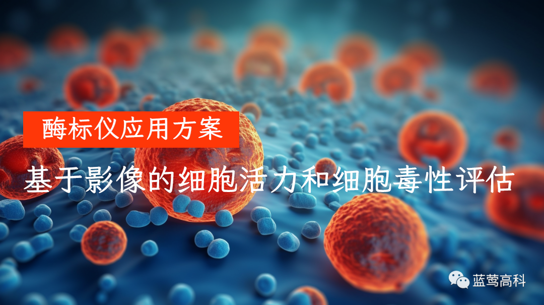 酶标仪应用方案|基于影像的细胞活力和细胞毒性评估