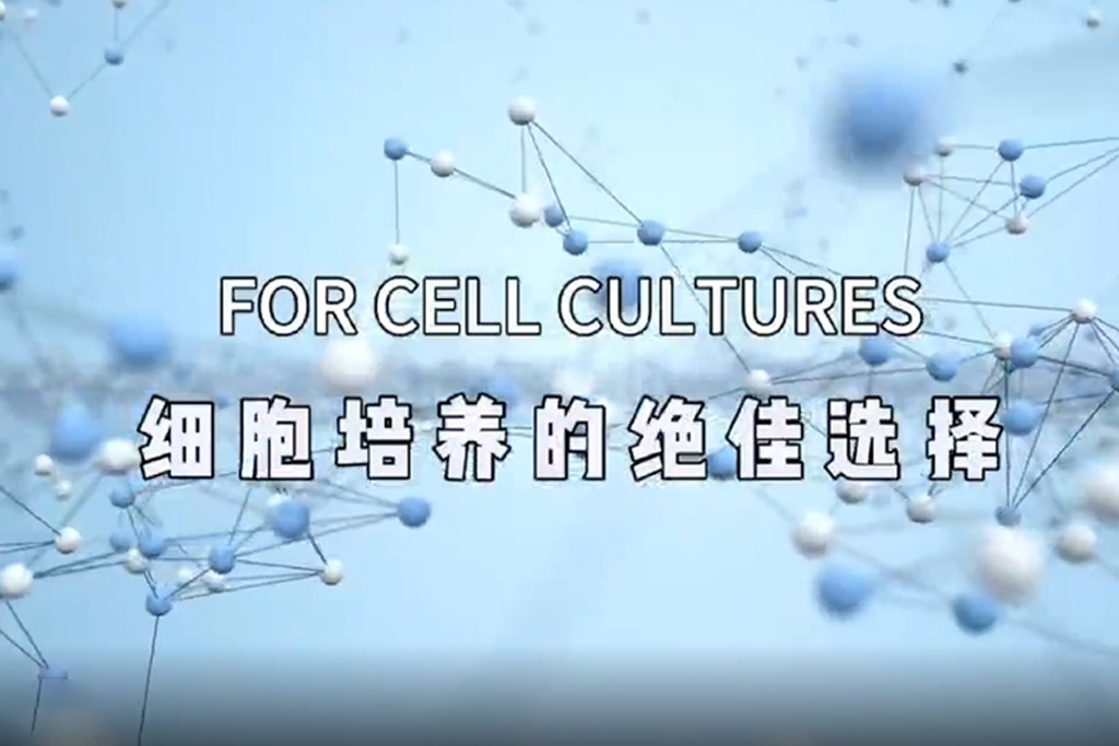 打破时间束缚，重塑实验室效率标杆！