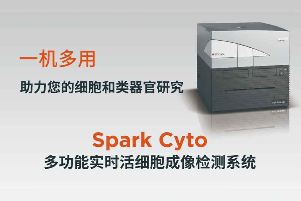 突破传统！Spark Cyto助力结肠癌类器官药物反应评估