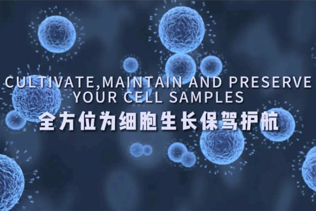 新华医疗培养箱 | DIY您的细胞家园