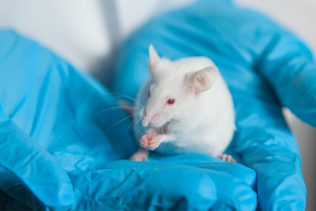 拯救动物实验“铲屎官”！ DM系列大小鼠代谢笼