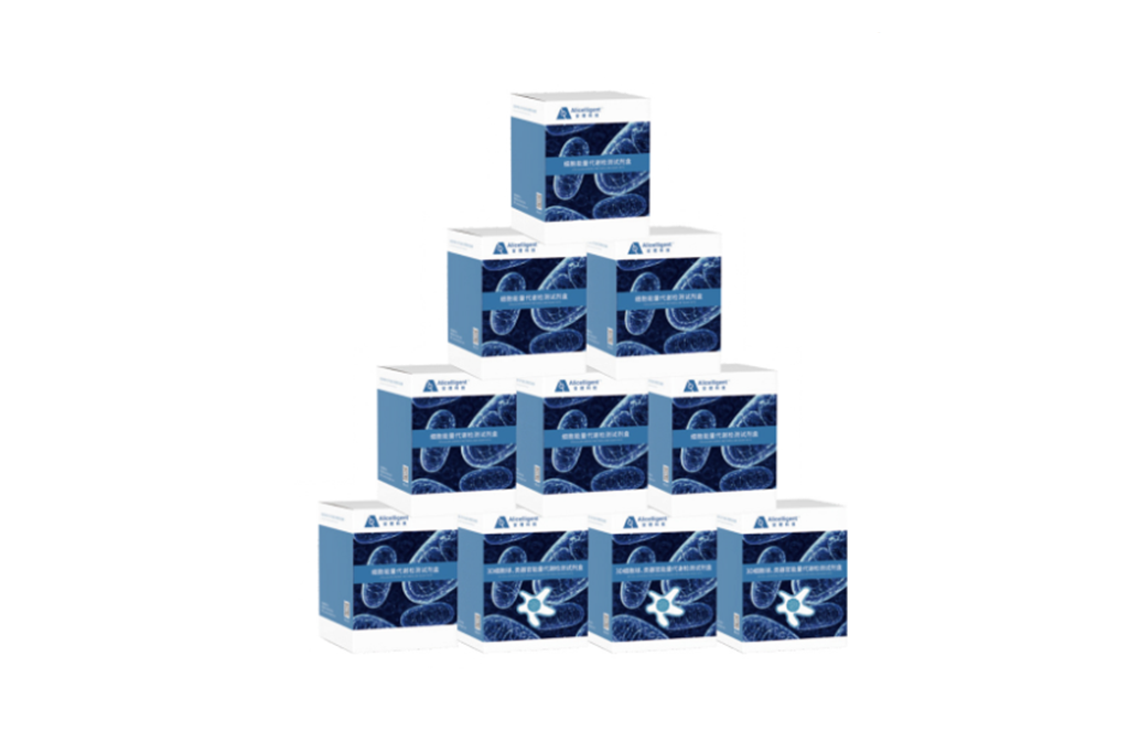 安理汇||最新文献分享 温阳化浊方通过MCT/HIF-1α/LDHA通路调控子宫内膜免疫代谢微环境促进胚胎着床