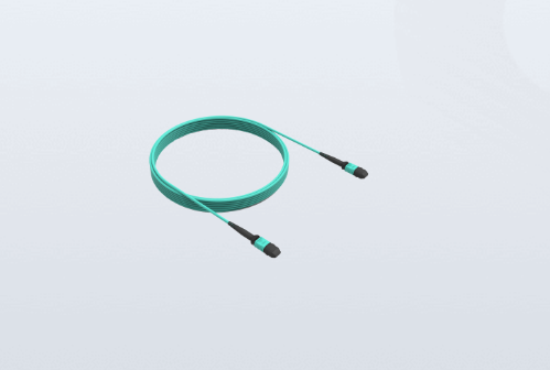 HIKROBOT 海康机器人 MV-AC100G-MPO-MPO-ST-10m 线缆