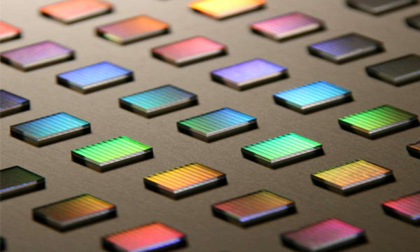 Sintec新特 PPLN / MgO:PPLN晶体