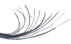 559774b0-9e92-4ed2-b8ea-fc5ddab28df4.png_104xaf