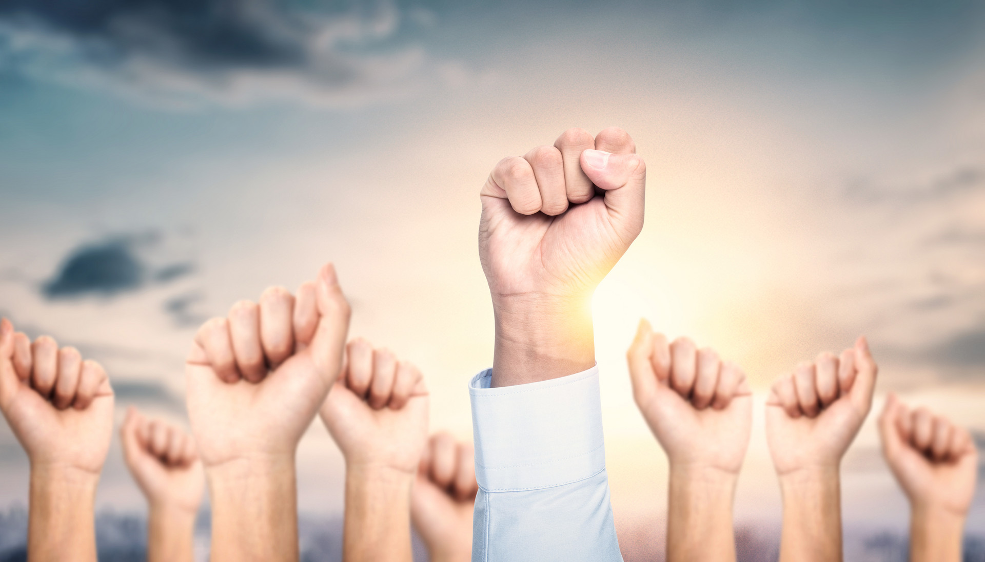 【新诺荣誉】双榜齐登!新诺荣膺2024年度广东省商标代理确权双项TOP殊荣!