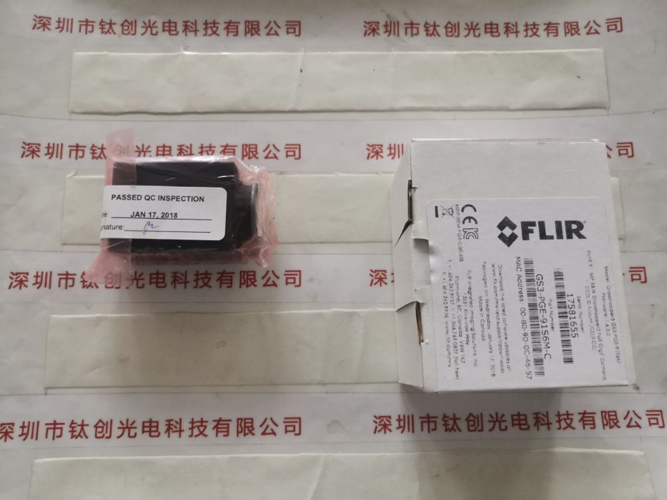 FLIR菲力尔 GS3-PGE-91S6M-C 工业相机