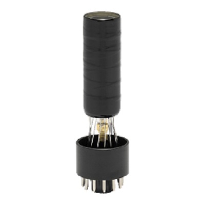 HAMAMATSU滨松 端窗型光电倍增管 R4998