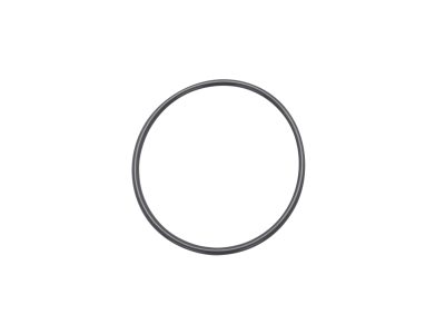 NEWPORT 优铂特 100762010  ISO-MF Centering Ring Replacement O-Rings