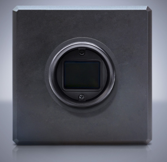 LUCID      ATP124S         工业相机