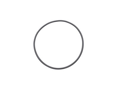 NEWPORT 优铂特 100762016  ISO-MF Centering Ring Replacement O-Rings