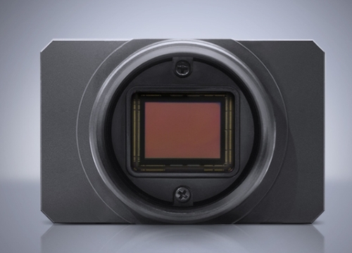 LUCID       TRT124S        工业相机