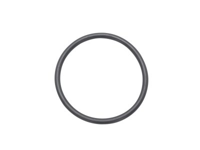 NEWPORT 优铂特 100761906  ISO-MF Centering Ring Replacement O-Rings