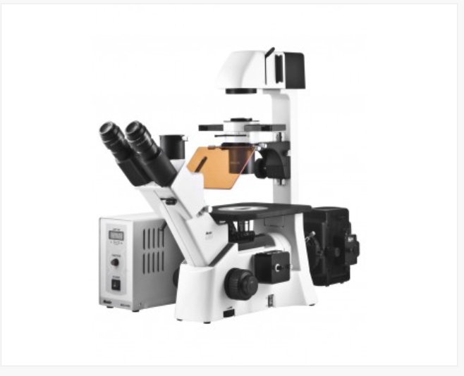 Motic  麦克奥迪   AE31荧光 荧光显微镜