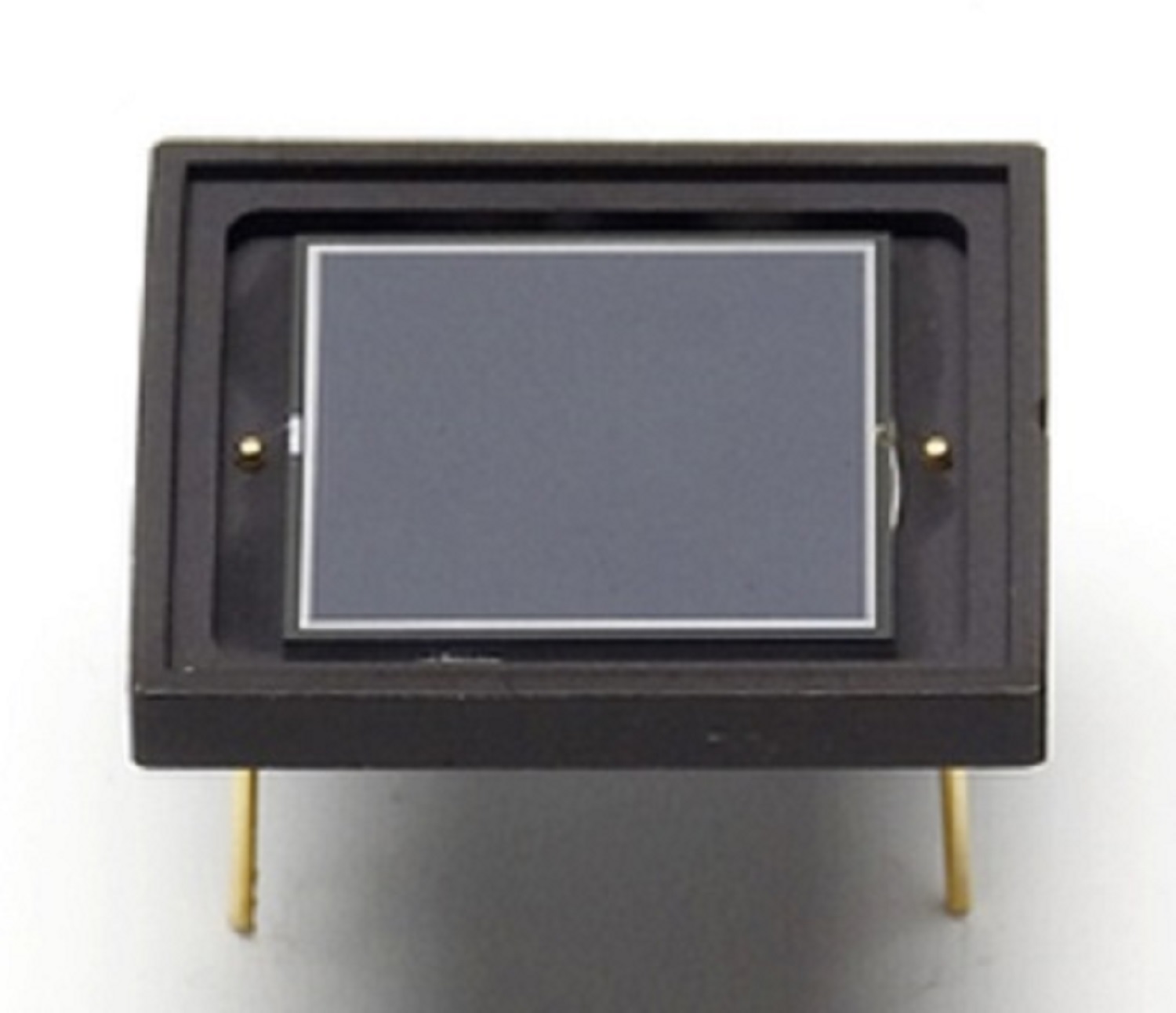 HAMAMATSU滨松 硅光电二极管 S10043