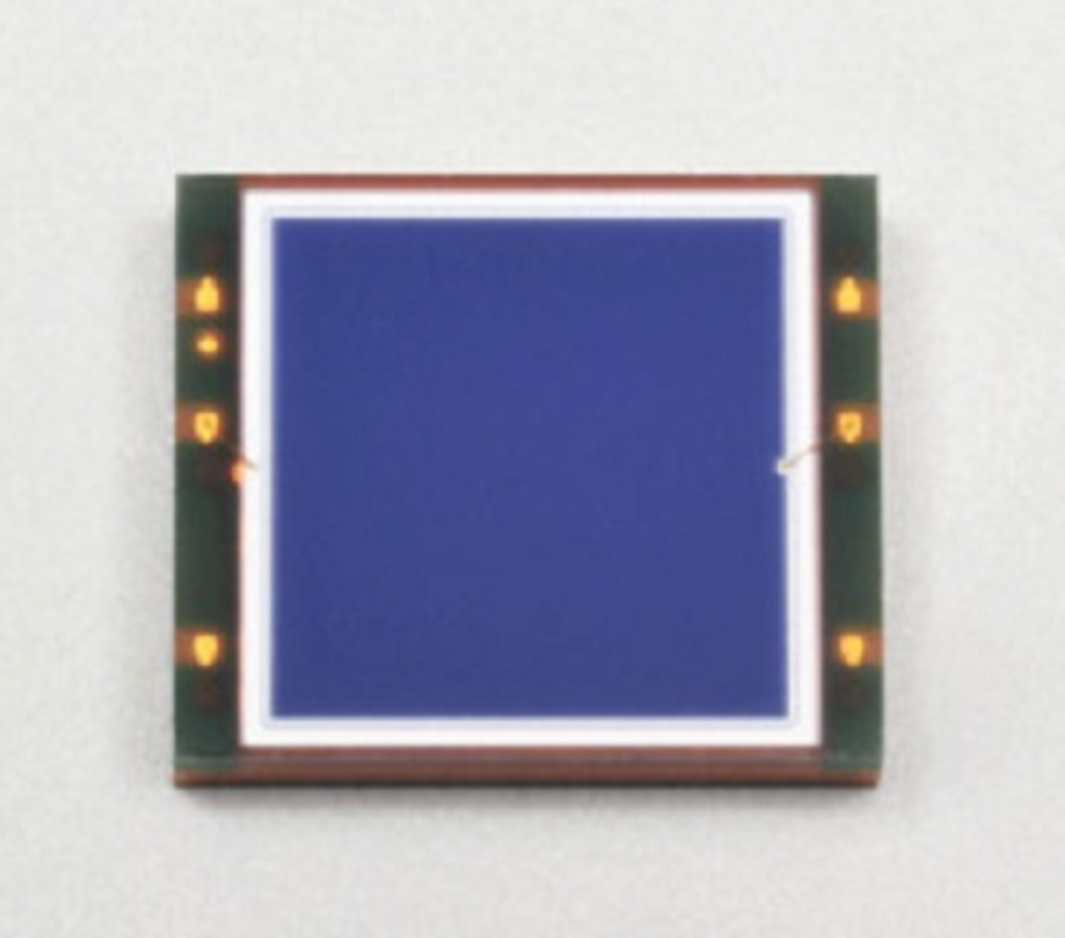 HAMAMATSU滨松 硅光电二极管 S16008-66