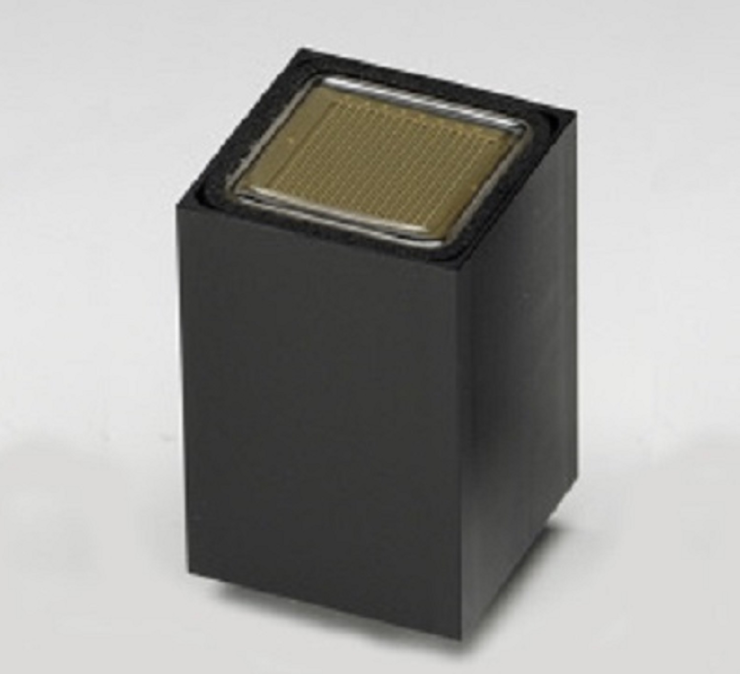 HAMAMATSU滨松 光电倍增管组件 H10515B-100