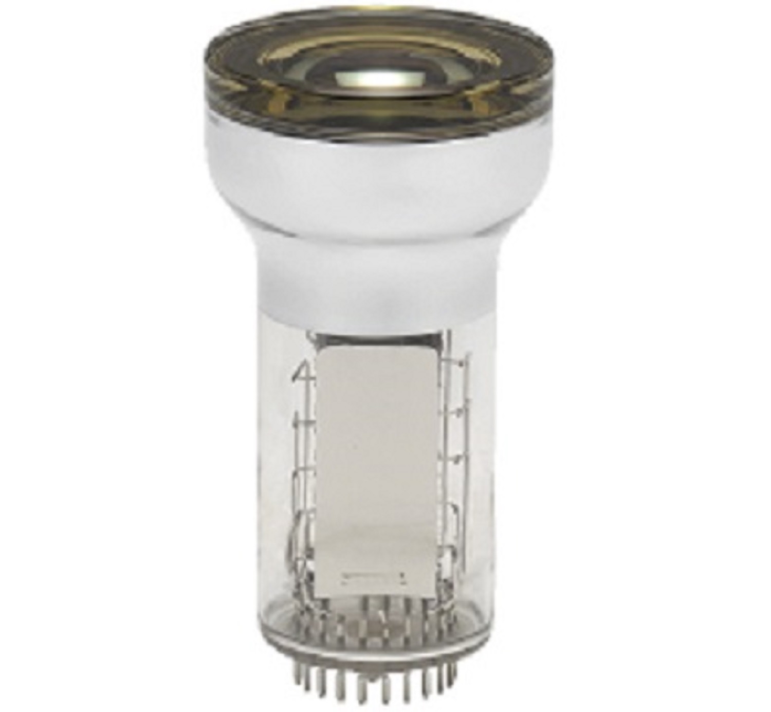 HAMAMATSU滨松  端窗型光电倍增管R6091