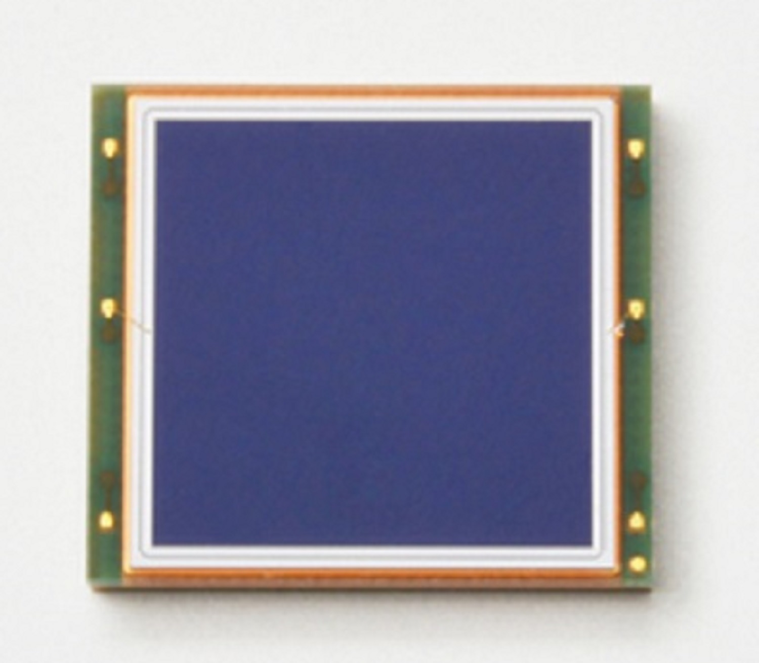 HAMAMATSU滨松 硅光电二极管 S16008-1010