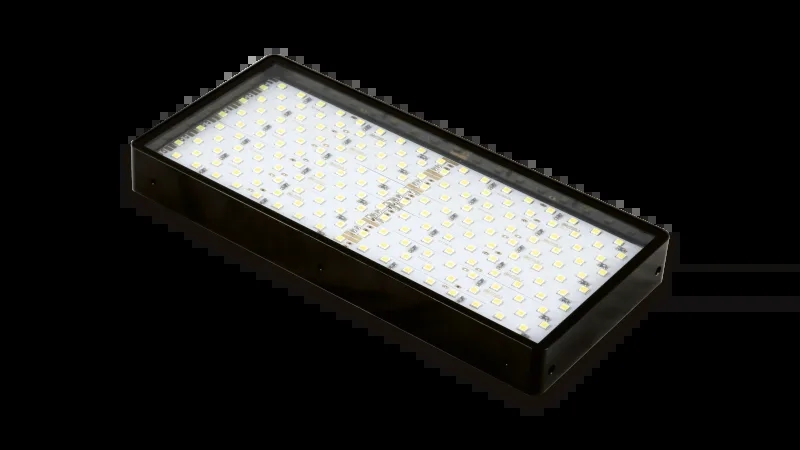 BASLER 巴斯勒/宝视纳 Basler Standard Light Bar-90x200-Red 条形光源