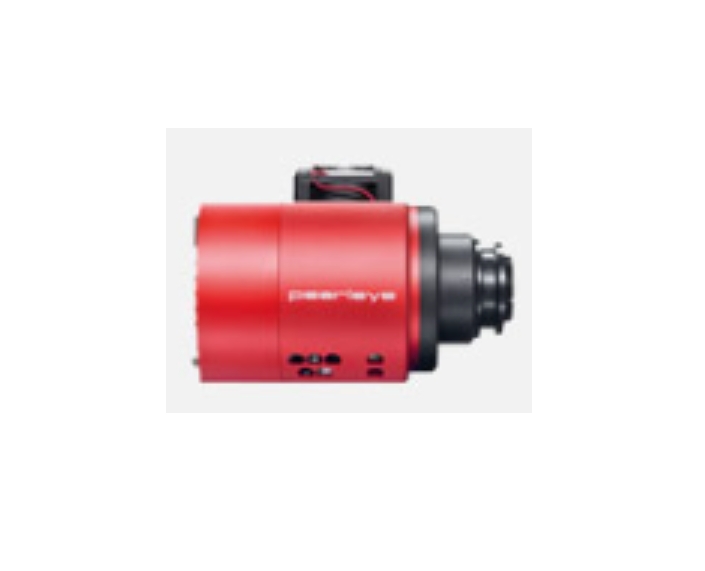 AVT  瑷茘德     p-030LWIR 面阵相机