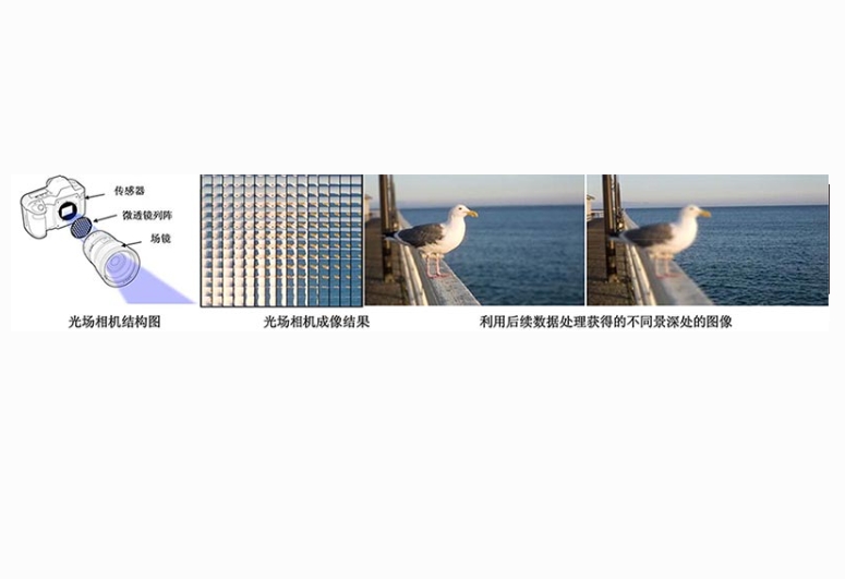 Sintec 新特     SGD 任意排布任意面形微透镜列阵