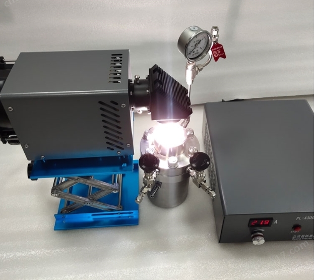 PLSS  普林塞斯   10MPa 不锈钢高压反应器