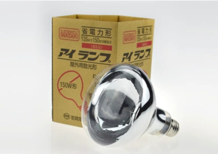 EYE  岩崎  RF110V135WH 仪器灯泡