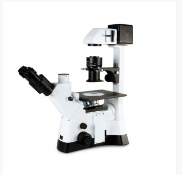 Motic  麦克奥迪    PX43 BIO 倒置显微镜