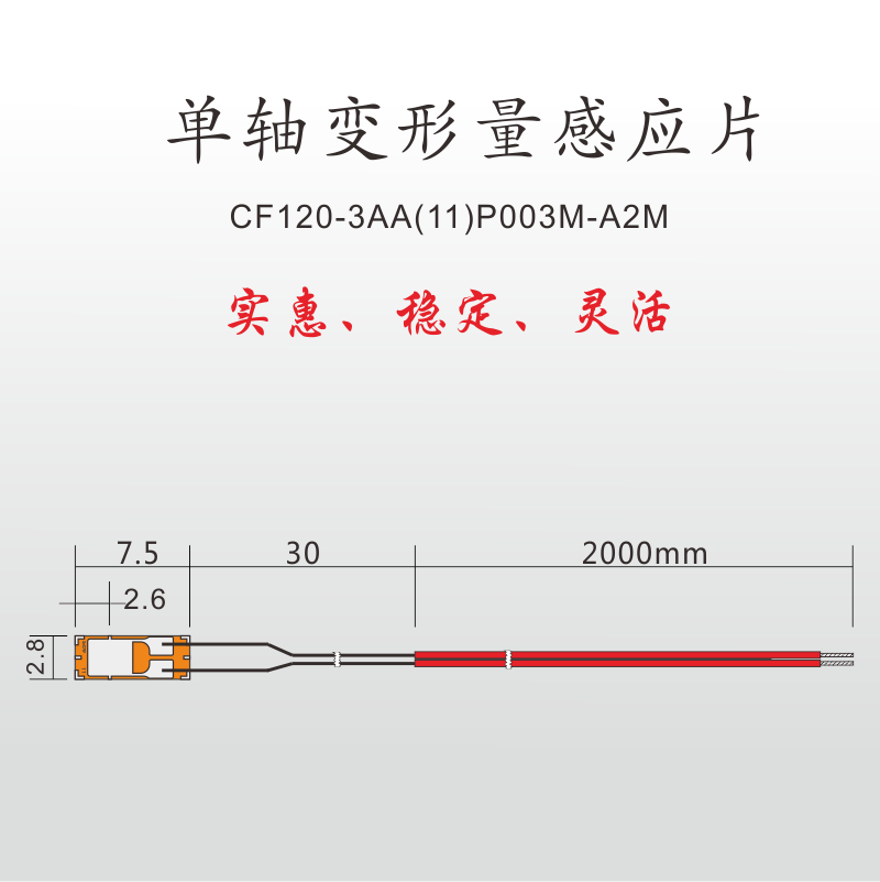 LCT诺盛超小单轴变形量感应片CF120-05AA