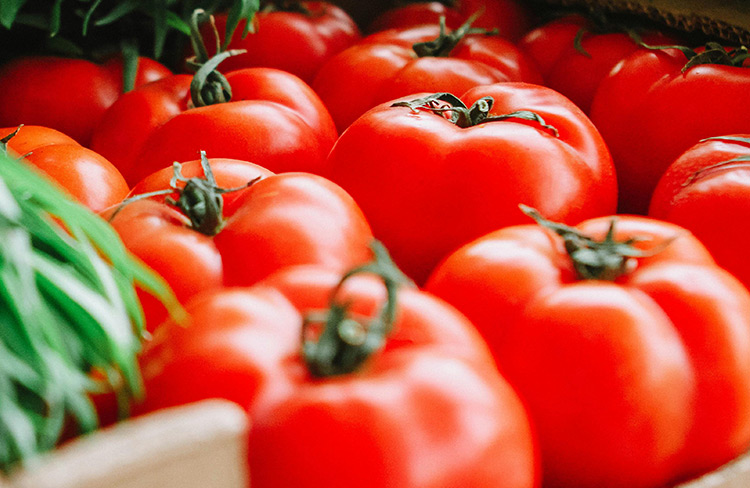 番茄裂果的原因及防治技术