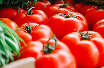 番茄裂果的原因及防治技术