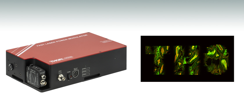 Thorlabs 索雷博 OM6N - 高速激光功率调制器