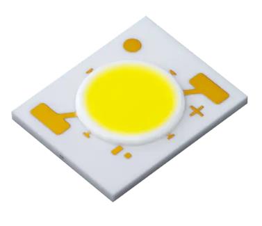 Nichia日亚 NTCWS024B-V3 (Rs020) LED光源