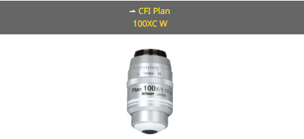 NIKON尼康 CFI Plan 100XC W 物镜