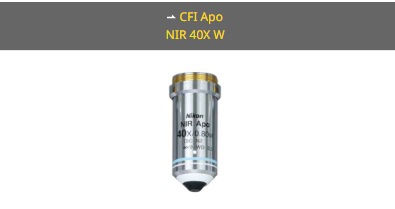 NIKON尼康 CFI Apo NIR 40X W 物镜