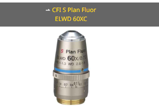NIKON尼康 CFI S Plan Fluor ELWD 60XC 物镜