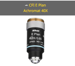 NIKON尼康 CFI E Plan Achromat 40X 物镜