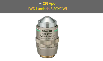 NIKON尼康 CFI Apo LWD Lambda S 20XC WI 物镜