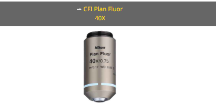 NIKON尼康 CFI Plan Fluor 40X 物镜