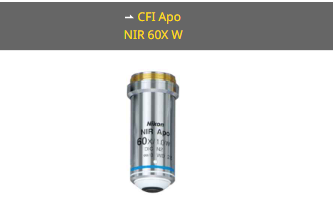 NIKON尼康 CFI Apo NIR 60X W 物镜
