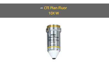 NIKON尼康 CFI Plan Fluor 10X W 物镜