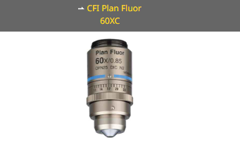 NIKON尼康 CFI Plan Fluor 60XC 物镜