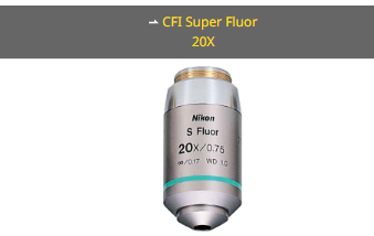 NIKON尼康 CFI Super Fluor 20X 物镜