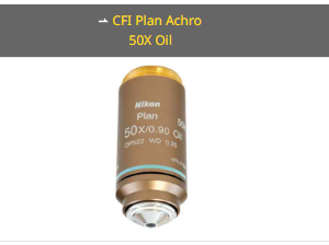 NIKON尼康 CFI Plan Achro 50X Oil 物镜