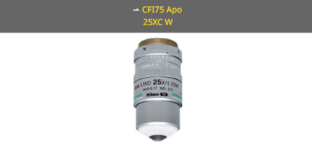 NIKON尼康 CFI75 Apo 25XC W 物镜