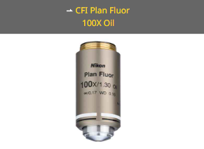 NIKON尼康 CFI Plan Fluor 100X Oil 物镜