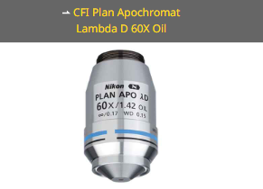 NIKON尼康 CFI Plan Apochromat Lambda D 60X Oil 物镜