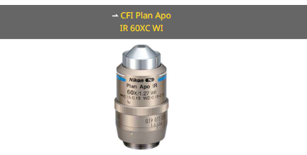 NIKON尼康 CFI Plan Apo IR 60XC WI 物镜