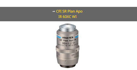 NIKON尼康 CFI SR Plan Apo IR 60XC WI 物镜